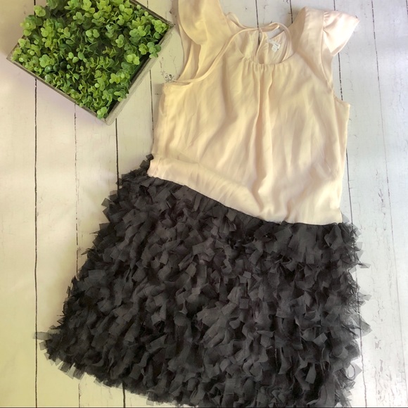 GAP Dresses & Skirts - Gap Tulle Cocktail Dress